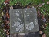 image of grave number 445243